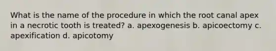 What is the name of the procedure in which the root canal apex in a necrotic tooth is treated? a. apexogenesis b. apicoectomy c. apexification d. apicotomy