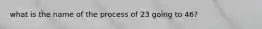 what is the name of the process of 23 going to 46?