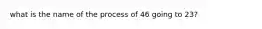 what is the name of the process of 46 going to 23?