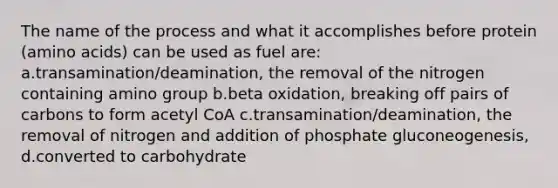 The name of the process and what it accomplishes before protein (amino acids) can be used as fuel are: a.transamination/deamination, the removal of the nitrogen containing amino group b.beta oxidation, breaking off pairs of carbons to form acetyl CoA c.transamination/deamination, the removal of nitrogen and addition of phosphate gluconeogenesis, d.converted to carbohydrate