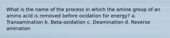 What is the name of the process in which the amine group of an amino acid is removed before oxidation for energy? a. Transamination b. Beta-oxidation c. Deamination d. Reverse amination