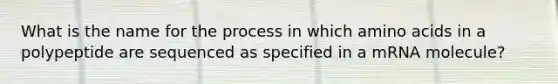 What is the name for the process in which amino acids in a polypeptide are sequenced as specified in a mRNA molecule?