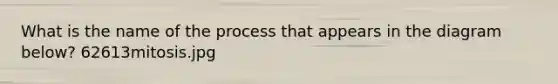 What is the name of the process that appears in the diagram below? 62613mitosis.jpg