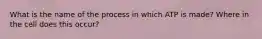 What is the name of the process in which ATP is made? Where in the cell does this occur?