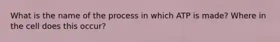 What is the name of the process in which ATP is made? Where in the cell does this occur?