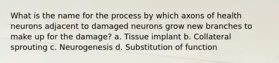 What is the name for the process by which axons of health neurons adjacent to damaged neurons grow new branches to make up for the damage? a. Tissue implant b. Collateral sprouting c. Neurogenesis d. Substitution of function