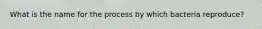 What is the name for the process by which bacteria reproduce?