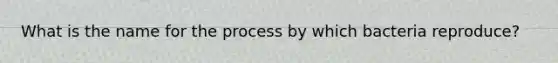 What is the name for the process by which bacteria reproduce?