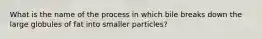 What is the name of the process in which bile breaks down the large globules of fat into smaller particles?