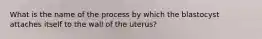 What is the name of the process by which the blastocyst attaches itself to the wall of the uterus?