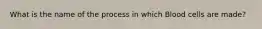 What is the name of the process in which Blood cells are made?