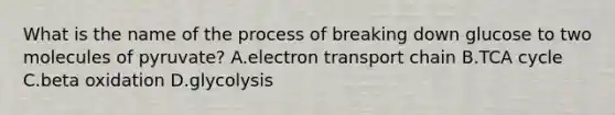 What is the name of the process of breaking down glucose to two molecules of pyruvate? A.electron transport chain B.TCA cycle C.beta oxidation D.glycolysis