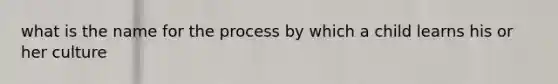 what is the name for the process by which a child learns his or her culture