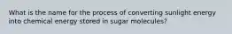 What is the name for the process of converting sunlight energy into chemical energy stored in sugar molecules?