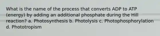 What is the name of the process that converts ADP to ATP (energy) by adding an additional phosphate during the Hill reaction? a. Photosynthesis b. Photolysis c. Photophosphorylation d. Phototropism