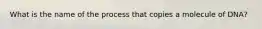 What is the name of the process that copies a molecule of DNA?