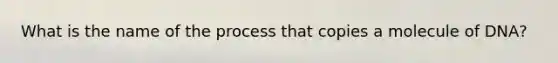 What is the name of the process that copies a molecule of DNA?