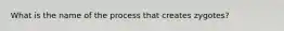 What is the name of the process that creates zygotes?