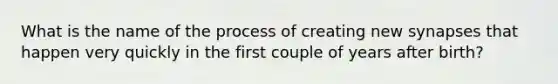 What is the name of the process of creating new synapses that happen very quickly in the first couple of years after birth?