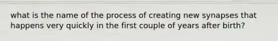 what is the name of the process of creating new synapses that happens very quickly in the first couple of years after birth?