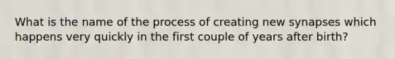 What is the name of the process of creating new synapses which happens very quickly in the first couple of years after birth?