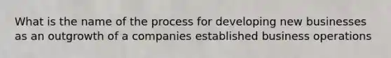 What is the name of the process for developing new businesses as an outgrowth of a companies established business operations