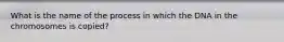 What is the name of the process in which the DNA in the chromosomes is copied?