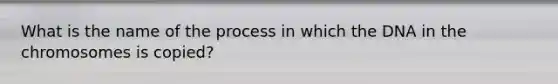 What is the name of the process in which the DNA in the chromosomes is copied?