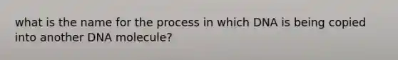 what is the name for the process in which DNA is being copied into another DNA molecule?