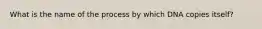 What is the name of the process by which DNA copies itself?