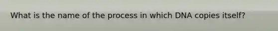 What is the name of the process in which DNA copies itself?