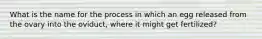 What is the name for the process in which an egg released from the ovary into the oviduct, where it might get fertilized?