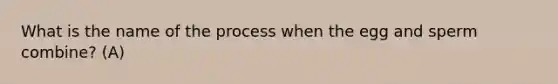 What is the name of the process when the egg and sperm combine? (A)