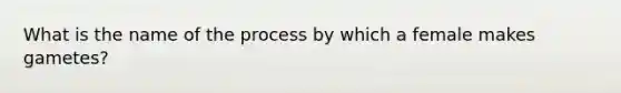 What is the name of the process by which a female makes gametes?