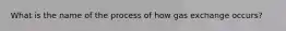 What is the name of the process of how gas exchange occurs?