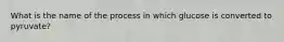 What is the name of the process in which glucose is converted to pyruvate?