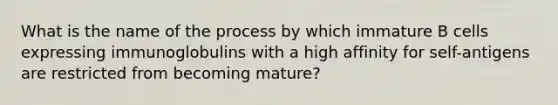 What is the name of the process by which immature B cells expressing immunoglobulins with a high affinity for self-antigens are restricted from becoming mature?