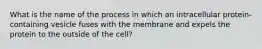 What is the name of the process in which an intracellular protein-containing vesicle fuses with the membrane and expels the protein to the outside of the cell?