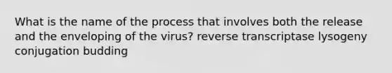 What is the name of the process that involves both the release and the enveloping of the virus? reverse transcriptase lysogeny conjugation budding