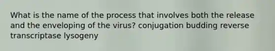 What is the name of the process that involves both the release and the enveloping of the virus? conjugation budding reverse transcriptase lysogeny