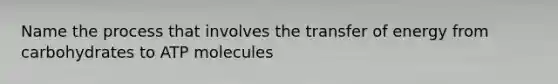 Name the process that involves the transfer of energy from carbohydrates to ATP molecules