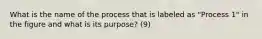 What is the name of the process that is labeled as "Process 1" in the figure and what is its purpose? (9)