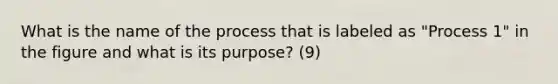 What is the name of the process that is labeled as "Process 1" in the figure and what is its purpose? (9)