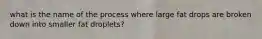 what is the name of the process where large fat drops are broken down into smaller fat droplets?