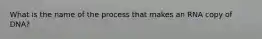 What is the name of the process that makes an RNA copy of DNA?