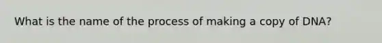 What is the name of the process of making a copy of DNA?