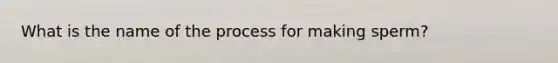 What is the name of the process for making sperm?