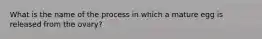 What is the name of the process in which a mature egg is released from the ovary?