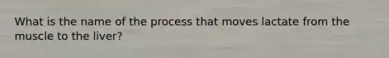 What is the name of the process that moves lactate from the muscle to the liver?