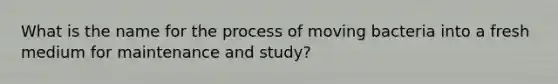 What is the name for the process of moving bacteria into a fresh medium for maintenance and study?